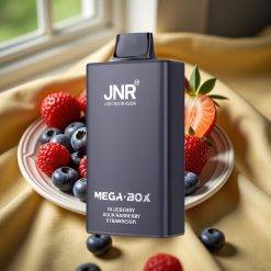 JNR Mega Box 25000 Puffs Dual Mesh 30ml Синьа Боровинка Кисела Малина Ягода